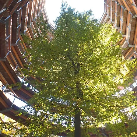 Kranichring In Negast Nahe Stralsund Διαμέρισμα Steinhagen (Vorpommern-Rugen)